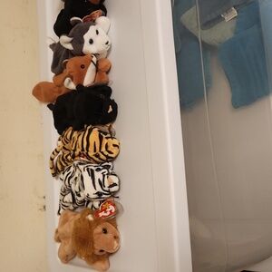 Beanie baby zoo themed bundle